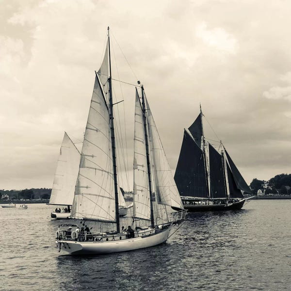 Walter Bibikow: Perception And Roseway During The Gloucester Schooner Festival, Gloucester Harbor, Gloucester, Massachusetts, USA by Walter Bibikow