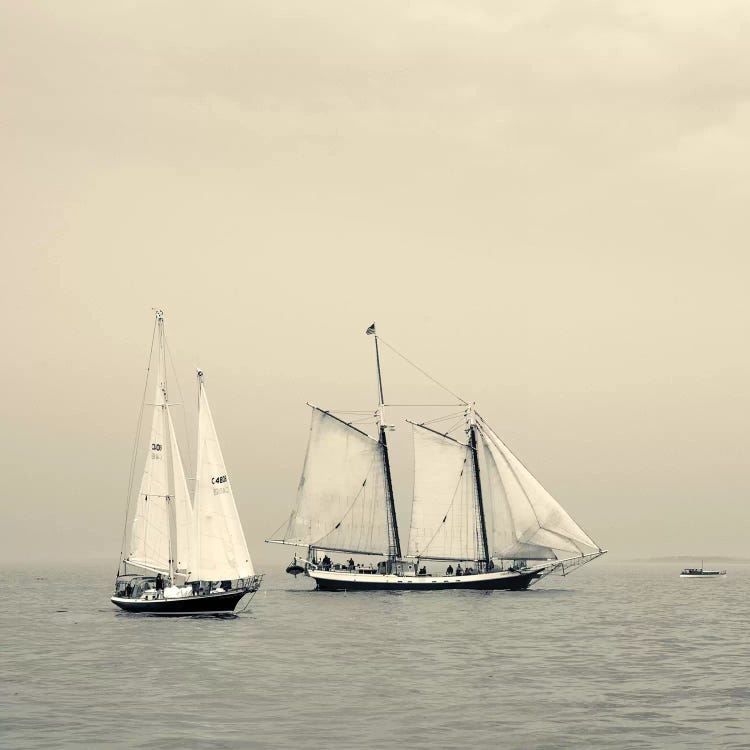Light Reign During The Gloucester Schooner Festival, Gloucester Harbor, Gloucester, Massachusetts, USA