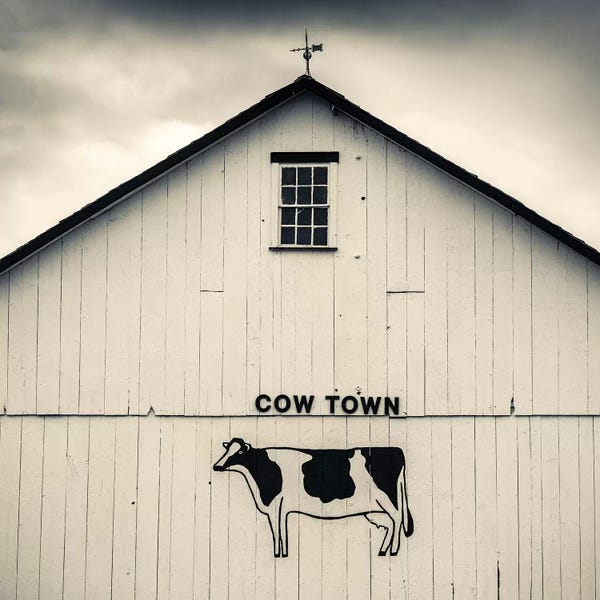 Walter Bibikow: "Cow Town" Barn Signage, Bird-In-Hand, Lancaster County, Pennsylvania Dutch Country, Pennsylvania, USA by Walter Bibikow