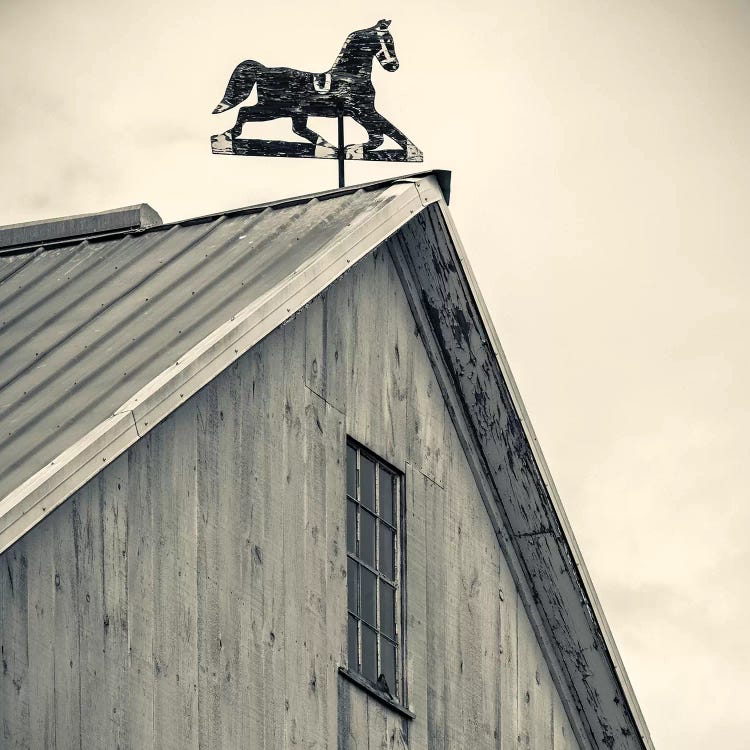 Workhorse Weather Vane, Bird-In-Hand, Lancaster County, Pennsylvania Dutch Country, Pennsylvania, USA