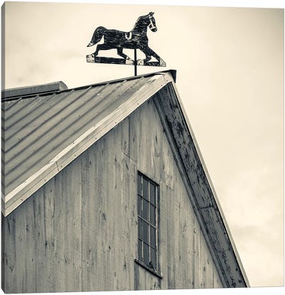Workhorse Weather Vane, Bird-In-Hand, Lancaster County, Pennsylvania Dutch Country, Pennsylvania, USA Canvas Art Print - Country Scenic Photography
