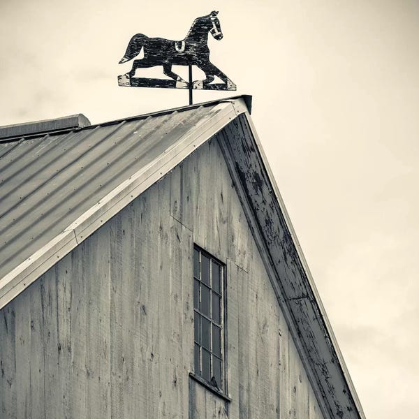 Walter Bibikow: Workhorse Weather Vane, Bird-In-Hand, Lancaster County, Pennsylvania Dutch Country, Pennsylvania, USA by Walter Bibikow