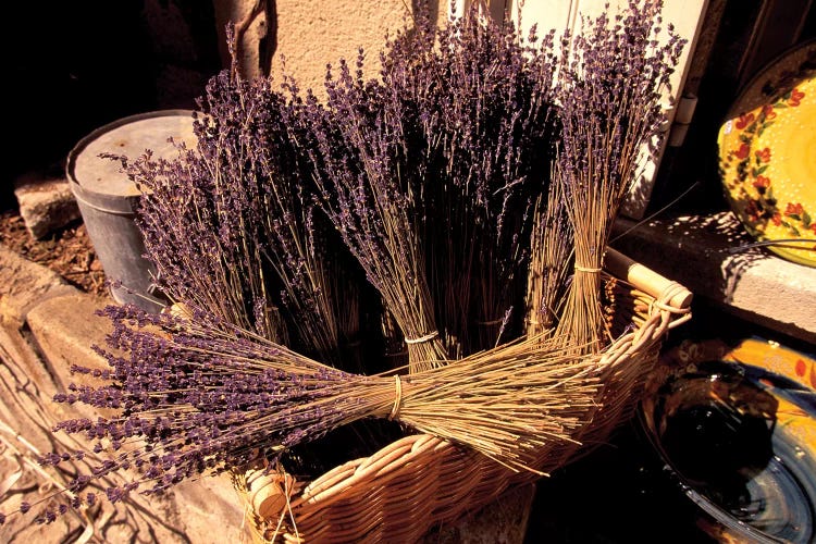 Lavender Bunches For Sale, Les Baux-de-Provence, Bouches-du-Rhone, Provence-Alpes-Cote d'Azur, France