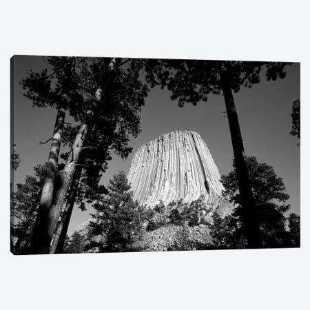 Low View Of Devils Tower (Bear Lodge Butte or Matho Thipila) At Dusk, Devils Tower National Monument, Crook County, Wyoming, USA Canvas Print #WBI81} by Walter Bibikow Art Print
