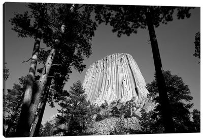 Low View Of Devils Tower (Bear Lodge Butte or Matho Thipila) At Dusk, Devils Tower National Monument, Crook County, Wyoming, USA Canvas Art Print - Walter Bibikow