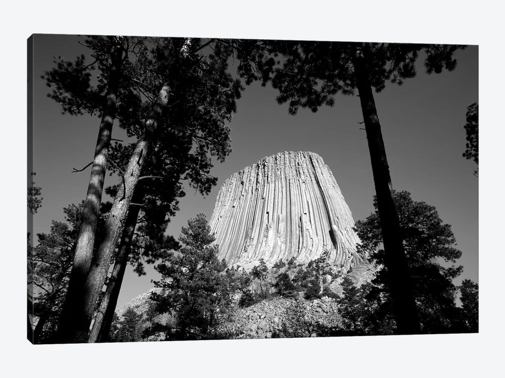 Low View Of Devils Tower (Bear Lodge Butte or Matho Thipila) At Dusk, Devils Tower National Monument, Crook County, Wyoming, USA by Walter Bibikow 1-piece Canvas Art Print