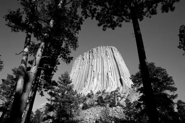 Walter Bibikow: Low View Of Devils Tower (Bear Lodge Butte or Matho Thipila) At Dusk, Devils Tower National Monument, Crook County, Wyoming, USA by Walter Bibikow