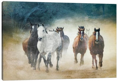 Dust Devils Canvas Art Print - Horse Art