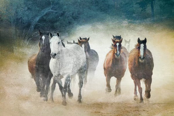 Farm Animals: Dust Devils by Wendy Caro