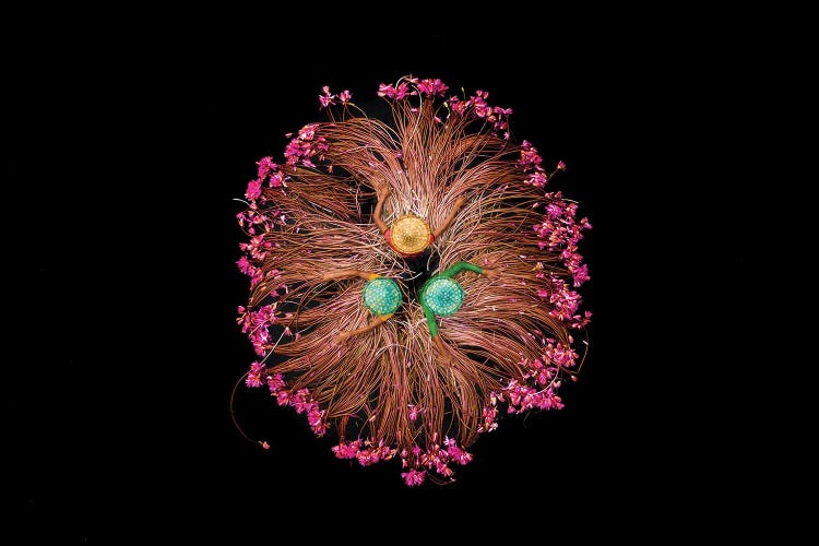 Colors Of Life by Sujon Adikary wall art