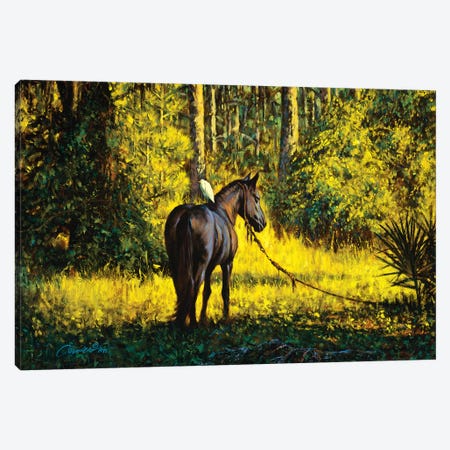Horse And Egret Canvas Print #WCO10} by Wil Cormier Art Print