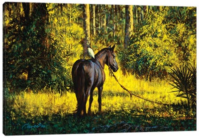 Horse And Egret Canvas Art Print - Egret Art