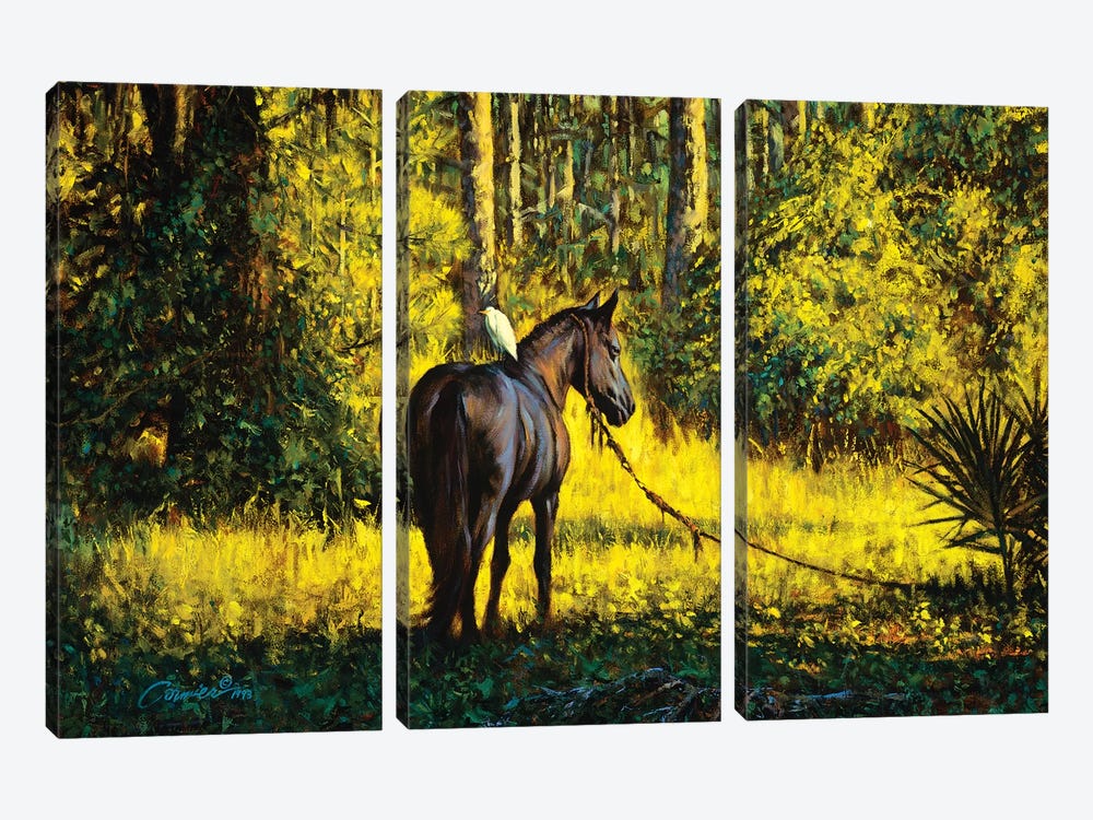 Horse And Egret by Wil Cormier 3-piece Art Print