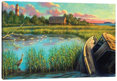Laughing Gull Creek Canvas Art Print - Wil Cormier