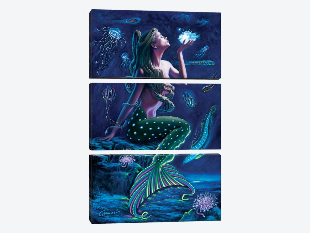 Bioluminescent Mermaid by Wil Cormier 3-piece Canvas Print