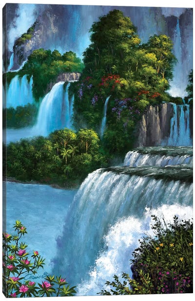 Paradise Falls Canvas Art Print - Wil Cormier
