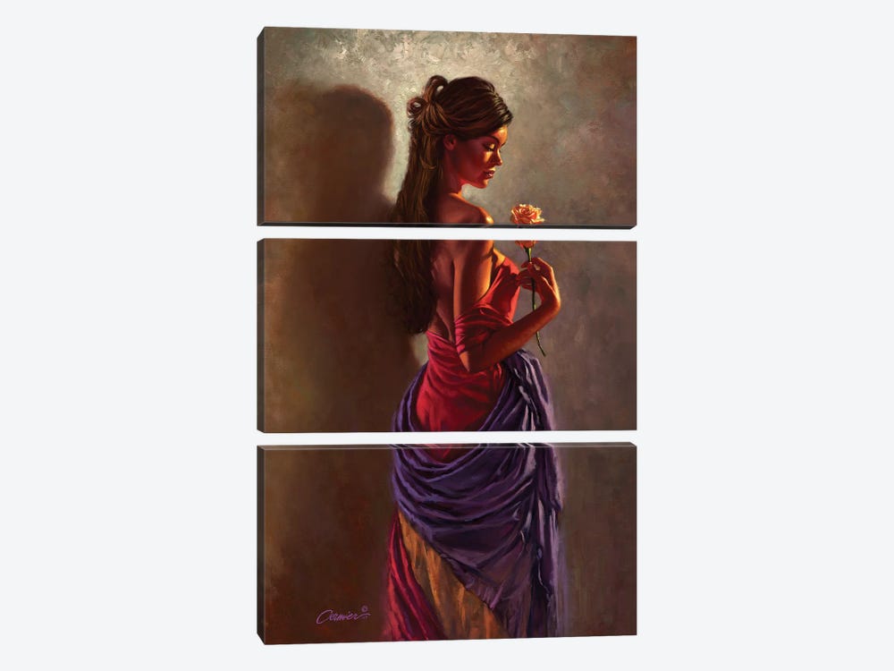 Spanish Rose by Wil Cormier 3-piece Art Print