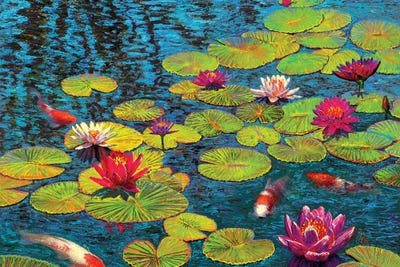 Lily Pond & Four Koi by Wil Cormier canvas print