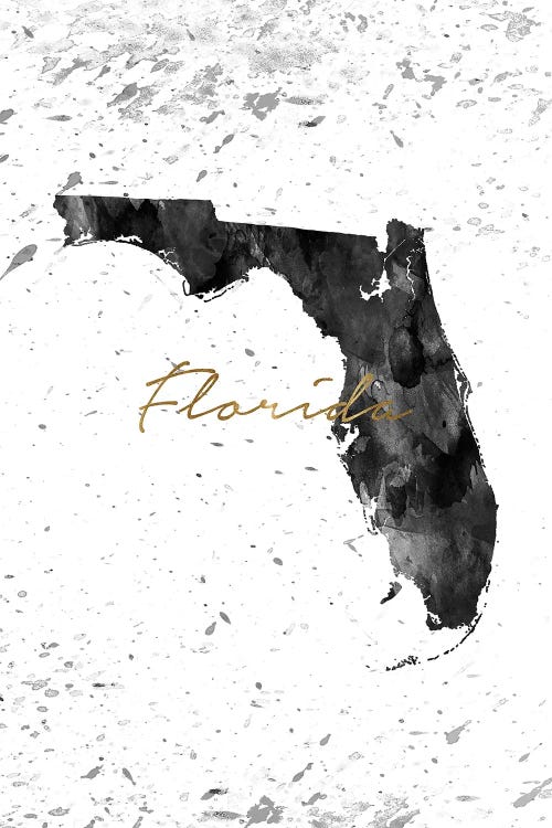 Florida Black And White Gold by WallDecorAddict canvas print