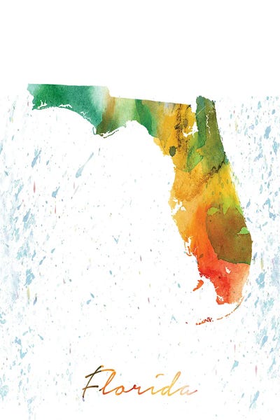 Florida: Florida State Colorful by WallDecorAddict