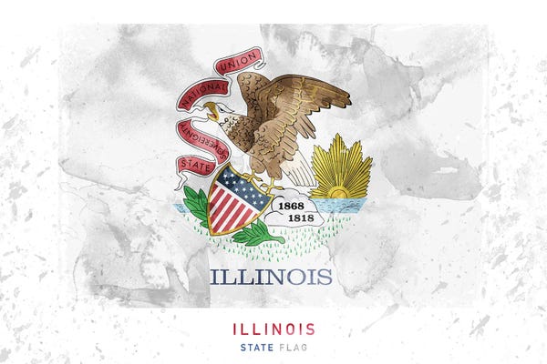 U.S. State Flags: Illinois by WallDecorAddict