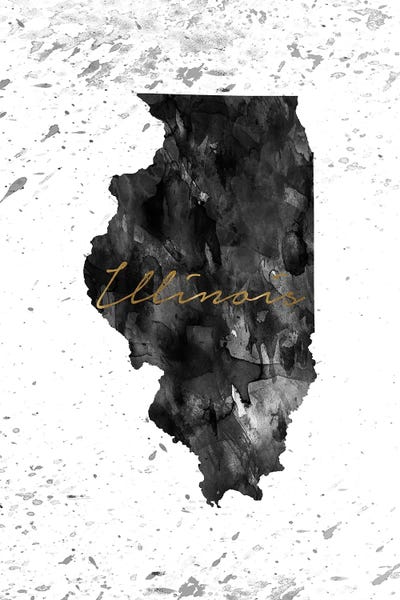 Illinois: Illinois Black And White Gold by WallDecorAddict