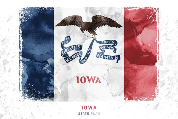 U.S. State Flags: Iowa by WallDecorAddict