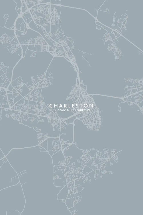 Charleston City Map Grey Blue Style