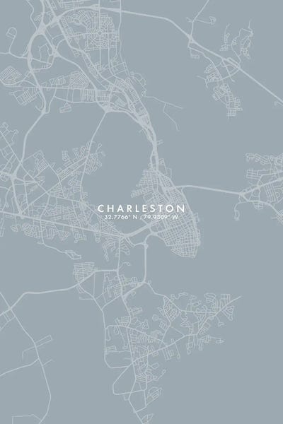 South Carolina: Charleston City Map Grey Blue Style by WallDecorAddict