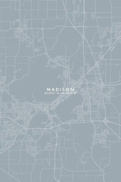 Madison City Map Grey Blue Style by WallDecorAddict wall art