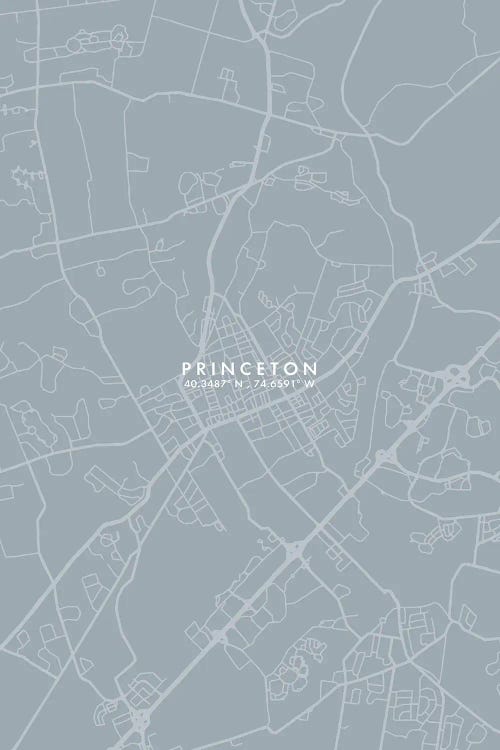 Princeton, New Jersey City Map Grey Blue Style