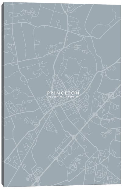 Princeton, New Jersey City Map Grey Blue Style Canvas Art Print - New Jersey Art