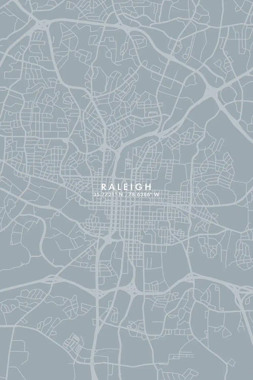 Raleigh City Map Grey Blue Style