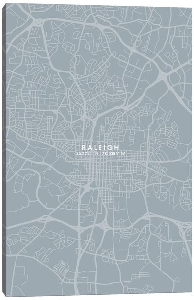 Raleigh City Map Grey Blue Style Canvas Art Print