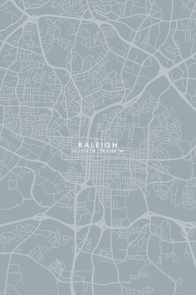 North Carolina: Raleigh City Map Grey Blue Style by WallDecorAddict