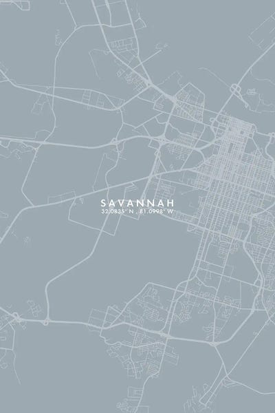 Georgia: Savannah, Georgia City Map Grey Blue Style by WallDecorAddict
