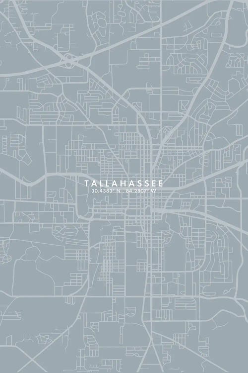Tallahassee, Florida City Map Grey Blue Style