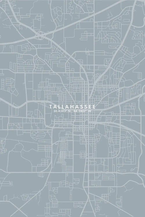 Tallahassee, Florida City Map Grey Blue Style