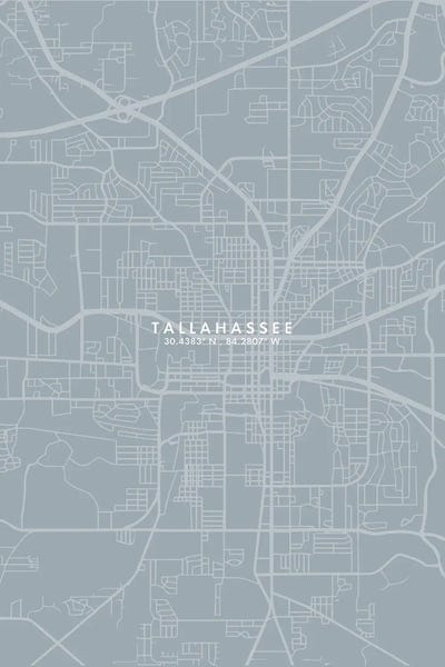 Tallahassee, Florida City Map Grey Blue Style