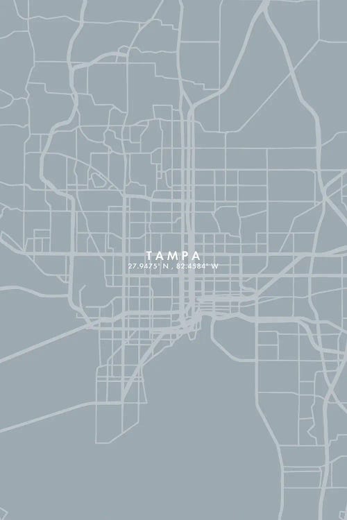 Tampa City Map Grey Blue Style