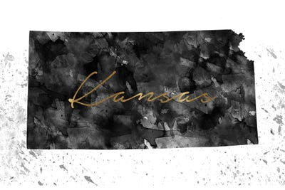 Kansas Black And White Gold by WallDecorAddict art print