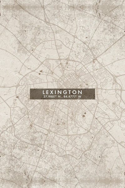 WallDecorAddict: Lexington City Map Abstract Style by WallDecorAddict
