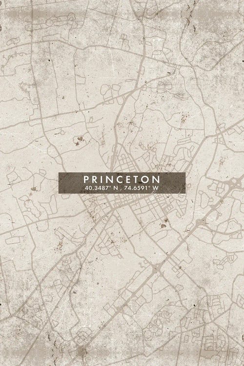 Princeton, New Jersey City Map Abstract Style