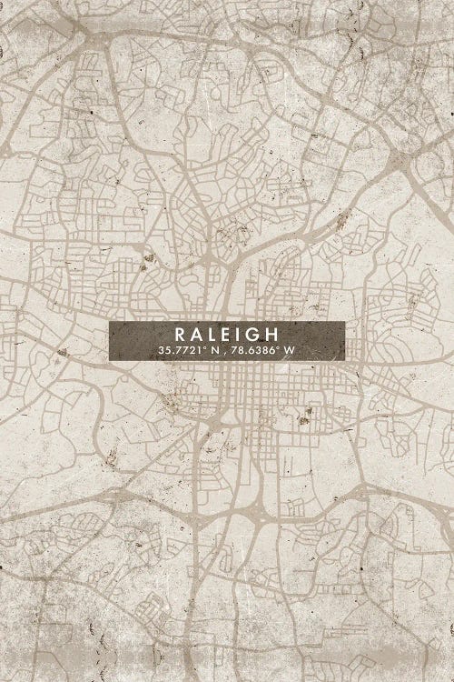 Raleigh City Map Abstract Style