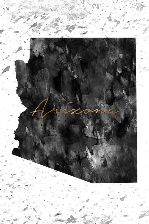 Arizona Black And White Gold by WallDecorAddict canvas print