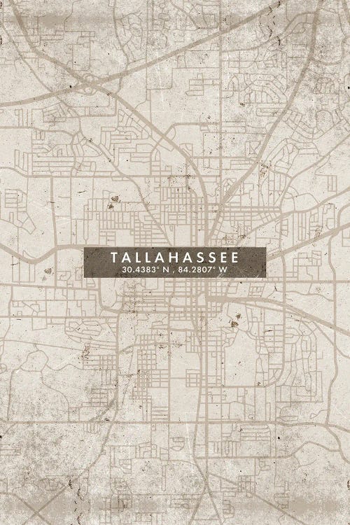 Tallahassee, Florida City Map Abstract Style by WallDecorAddict wall art