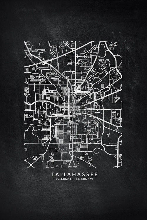 Tallahassee, Florida City Map Chalkboard Style by WallDecorAddict wall art