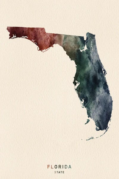 Florida: Florida State Map Desert Style by WallDecorAddict