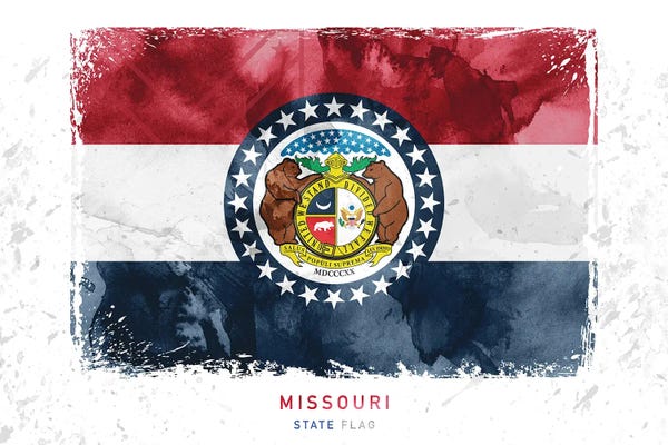 U.S. State Flags: Missouri by WallDecorAddict