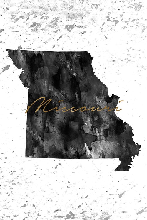 Missouri Black And White Gold by WallDecorAddict wall art